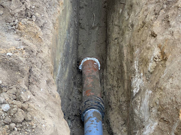 Best Flood damage cleanup  in Holcom, KS
