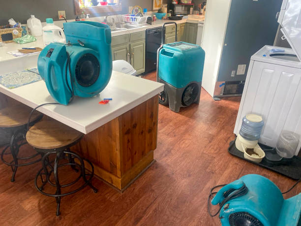 Best 24/7 water damage repair  in Holcom, KS