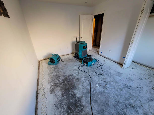 Best Water damage restoration mold remediation  in Holcom, KS