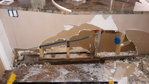 Best Water damage contractors near me  in Holcom, KS