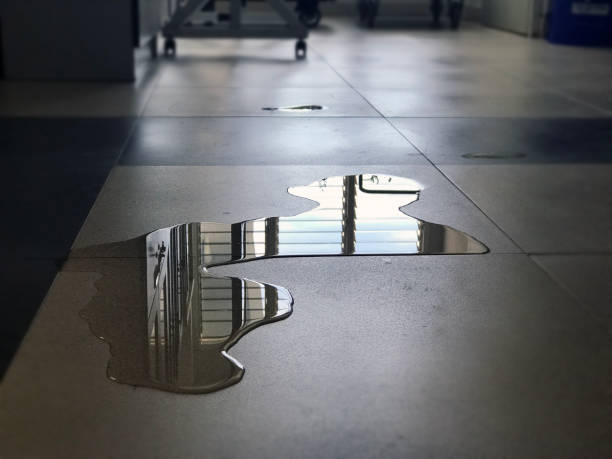 Best Professional water damage repair  in Holcom, KS