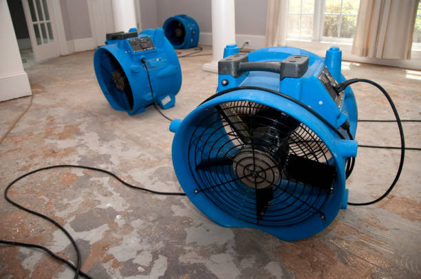  Holcom, KS Water damage restoration Pros