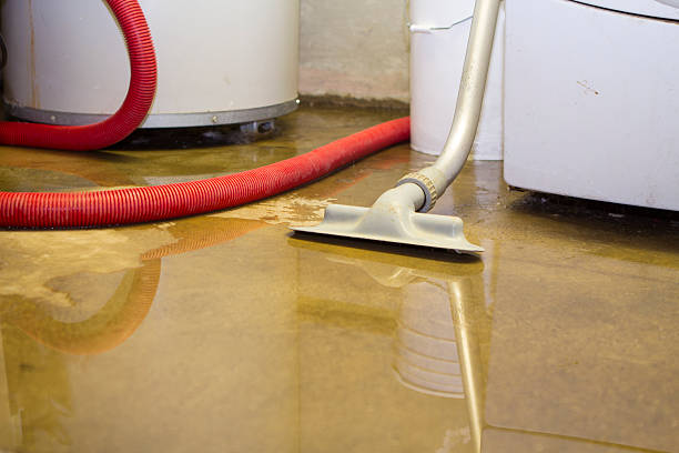 Best 24/7 water damage repair  in Holcom, KS
