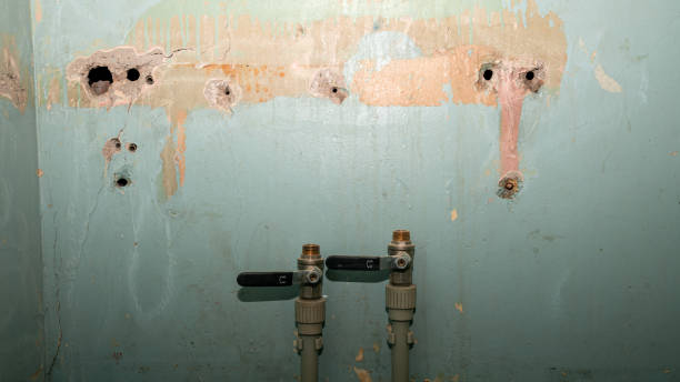 Best Residential water damage restoration  in Holcom, KS
