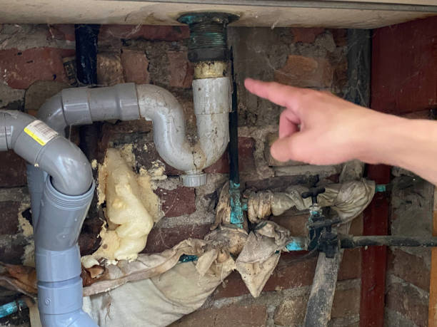 Best Water damage restoration near me  in Holcom, KS