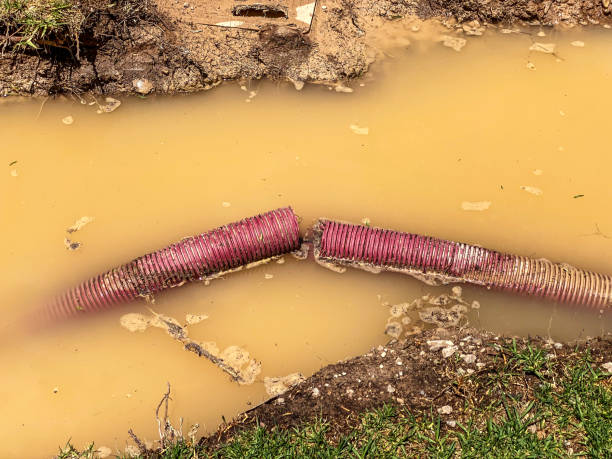Best Local water damage restoration  in Holcom, KS