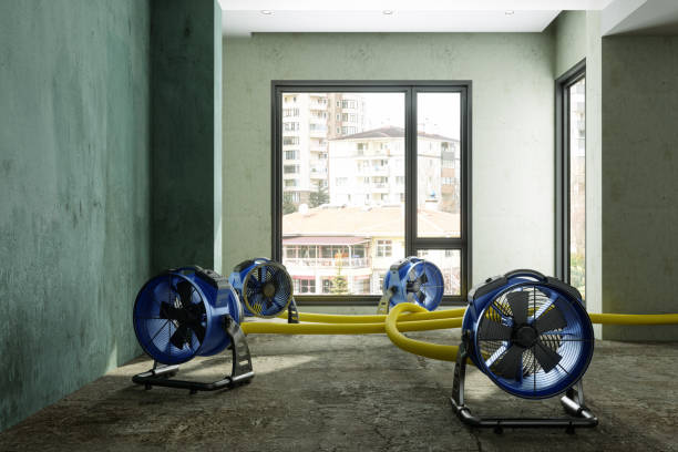 Best Residential water damage restoration  in Holcom, KS